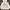 Champion Casual Jumper Pria white photo 1