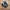 Nike Casual Casual shoe Pria black gray photo 3