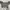 Vintage Y2K Crop top Wanita gray photo 2