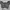 Vintage Y2K Crop top Wanita gray photo 1