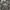Streetwear Y2K T-shirt Pria multicolor gray photo 1