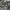 Streetwear Y2K T-shirt Pria multicolor gray photo 2
