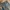 Levi's Casual Jeans Pria navy photo 5