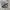 Adidas Casual Sneakers Pria black gray photo 1