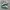 Adidas Casual Sneakers Pria tan gray photo 1