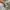 New Balance Casual Sneakers Pria gray photo 4