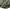 Vintage Streetwear Pria green photo 5