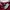 Nike Vintage Y2K Jersey Pria white red photo 4