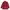 Nautica Vintage Formal Shirt Pria Red