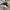 New Balance Skater Sportswear Sneakers Pria black photo 4