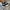New Balance Skater Sportswear Sneakers Pria black photo 3