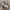 New Balance Sportswear Sneakers Pria gray photo 4
