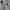 New Balance Sportswear Sneakers Pria gray photo 1