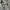 New Balance Sportswear Sneakers Pria Gray