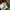 Mark Gonzales Casual Casual shirt Pria green photo 6