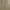 Dickies Streetwear Skater Casual pants Pria khaki photo 2
