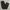 Dickies Skater Casual pants Pria khaki photo 1