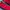 Adidas Casual Sneakers Pria red black photo 2