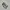 Adidas Casual Sneakers Pria white green photo 3
