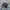 Adidas Indie Casual Sneakers Pria white black photo 1