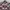 A Bathing Ape Luxury Casual shirt Pria multicolor photo 3