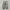 Nike Casual Sneakers Pria gray photo 5