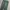 Dickies Streetwear Skater Casual pants Pria green photo 4