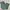 Dickies Streetwear Skater Casual Pants Pria Green