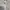 WHO.A.U Casual Sweater Pria cream photo 5