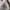 WHO.A.U Casual Sweater Pria cream photo 4