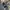 Vintage Streetwear Boots Wanita black photo 2