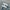 Nike Indie Casual Sneakers Pria silver white photo 1