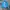 Adidas Sportswear Track jacket Pria blue photo 5