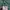 Grooverhyme Casual Sweater Pria green photo 6