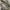 Barbour Vintage Casual Track jacket Pria green khaki photo 4
