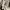 WHO.A.U Casual Sweater Pria gray photo 5