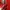 Nike Sportswear Casual Hoody Pria red photo 4