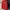 Nike Sportswear Casual Hoody Pria red photo 1