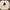 Isabel Marant Luxury Sweater Pria white gray photo 1