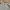 New Balance Minimalist Casual Fleece Pria gray photo 6