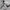 Nike Sportswear Casual Track jacket Pria gray photo 6