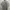 Uniqlo Casual Suit Pria Gray