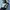Adidas Vintage Streetwear Sneakers Pria black photo 4