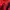 Adidas Casual Track jacket Pria red photo 5