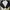 Nike Vintage Trench Coat Pria White Navy