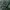 Adidas Vintage Y2K Puffer jacket Pria green photo 5