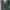 Adidas Vintage Y2K Puffer jacket Pria green photo 2