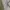 Tommy Hilfiger Vintage Harrington jacket Pria white photo 6