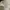 Tommy Hilfiger Vintage Harrington jacket Pria white photo 7