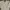 Tommy Hilfiger Vintage Harrington jacket Pria white photo 1